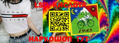 стаф Новокубанск