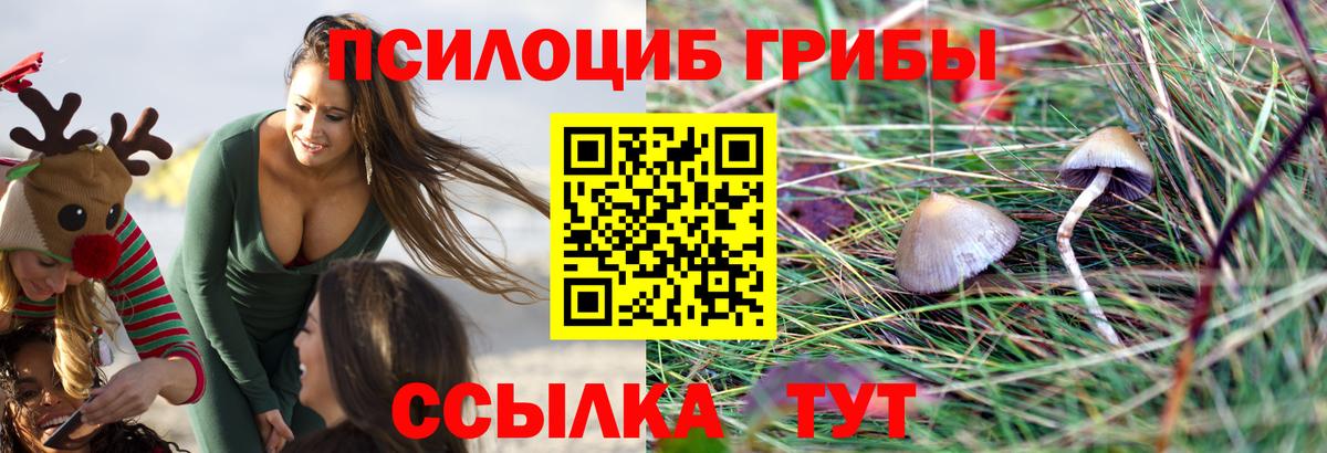 Тихвин  Галлюциногенные грибы GOLDEN TEACHER  Вход с VPN 